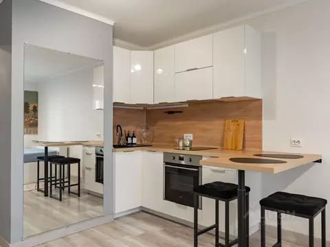 Студия Санкт-Петербург пос. Парголово, Заречная ул., 13к1 (26.8 м)
