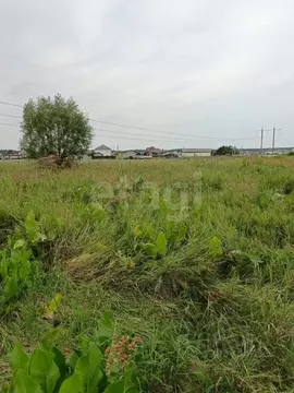 Участок в Курская область, Курский район, Моковский сельсовет, д. ...