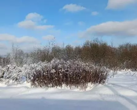 Участок в Московская область, Дмитровский муниципальный округ, д. ...