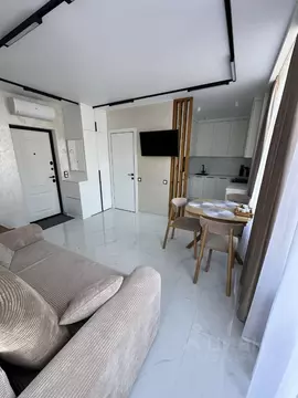 2-к кв. Краснодарский край, Сочи Коммунальная ул., 41 (52.0 м)