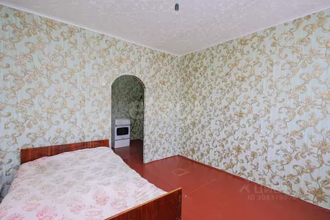 Студия Оренбургская область, Оренбург Тупой пер., 66 (17.6 м)