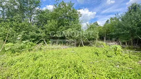 Участок в Московская область, Рузский муниципальный округ, пос. ...