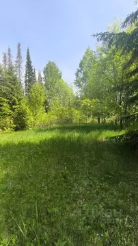 Участок в Пермский край, Пермский муниципальный округ, д. Усть-Тары ...