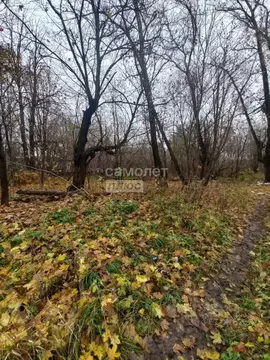 Участок в Владимирская область, Струнино г. Александровский ...