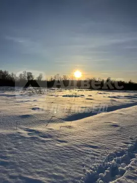 Участок в Тюменская область, Нижнетавдинский район, с. Средние Тарманы ...