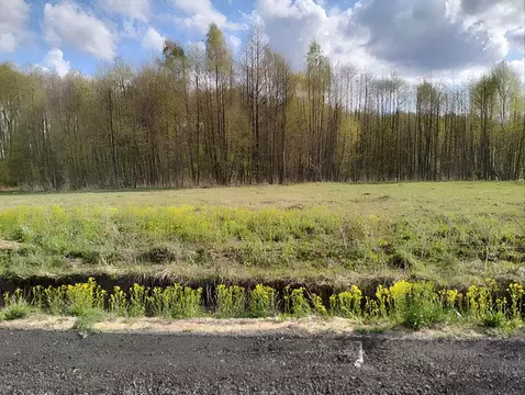Участок в Московская область, Серпухов городской округ, д. Акулово 16 ...