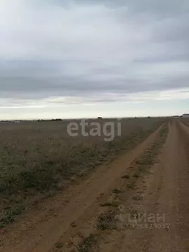 Участок в Крым, Сакский район, Молочненское с/пос, с. Витино  (6.0 ...