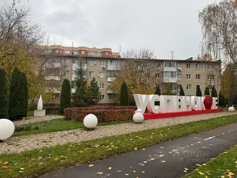 2-к кв. Московская область, Одинцовский городской округ, с. Успенское ...
