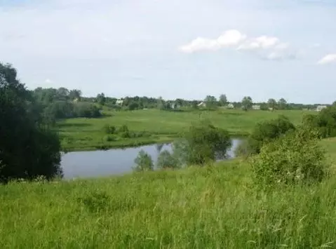 Участок в Новгородская область, Валдайский район, Едровское с/пос, д. ...