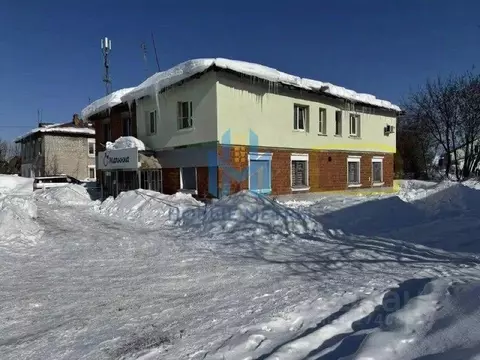Помещение свободного назначения в Нижегородская область, Балахна ул. ...