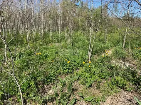 Участок в Свердловская область, Ревда муниципальный округ, с. Кунгурка ...