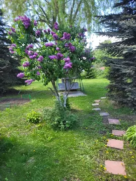 Коттедж в Самарская область, Ставропольский район, с. Подстепки ...