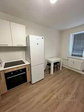 Студия Санкт-Петербург ул. Гудиловская, 9 (28.0 м)