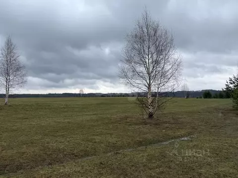 Участок в Пермский край, Ильинский муниципальный округ, д. Плотники ...