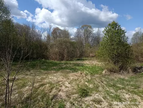 Участок в Новгородская область, Шимский район, Медведское с/пос, д. ...