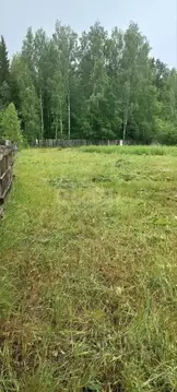 Участок в Тюменская область, Нижнетавдинский муниципальный округ, пос. ...