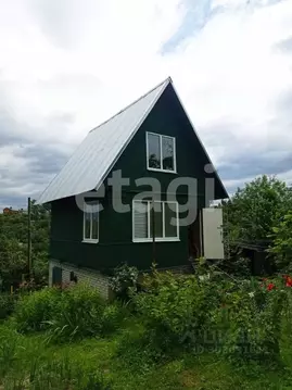 Дом в Брянская область, Брянск Имени Мичурина СДТ,  (49 м)