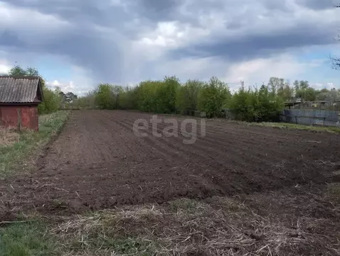 Участок в Амурская область, Ивановский муниципальный округ, с. ...