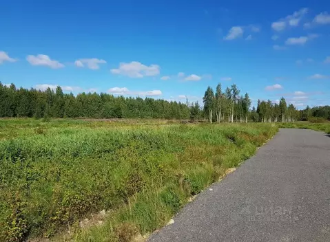 Участок в Ленинградская область, Всеволожский район, Куйвозовское ...