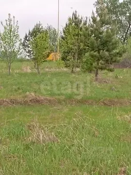 Участок в Алтайский край, Первомайский район, пос. Новый ул. ...