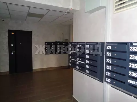 2-к кв. Алтайский край, Барнаул ул. 6-я Нагорная, 15Г/10 (37.1 м)