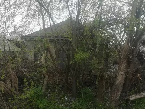 Свободной планировки кв. Адыгея, Майкоп Рабочая ул., 7 (44.5 м)