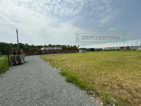 Участок в Приморский край, Артемовский городской округ, с. Кневичи ул. ...