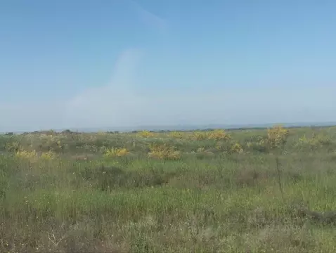 Участок в Волгоградская область, Городищенский район, Царицынское ...