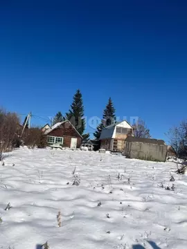Участок в Новосибирская область, Новосибирск Золотая Горка СНТ,  (5.1 ...