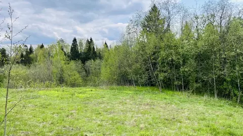 Участок в Московская область, Пушкинский городской округ, д. Алешино, ...