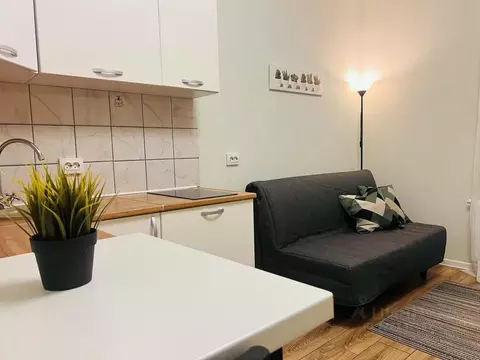 Студия Санкт-Петербург ул. Плесецкая, 10 (25.0 м)