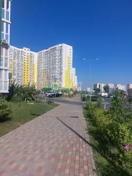 1-к кв. Краснодарский край, Анапа ул. Адмирала Пустошкина, 22к8 (37.8 ...