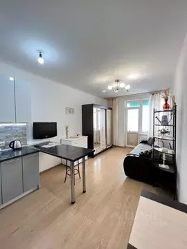 Студия Санкт-Петербург просп. Ветеранов, 169к1 (25.1 м)