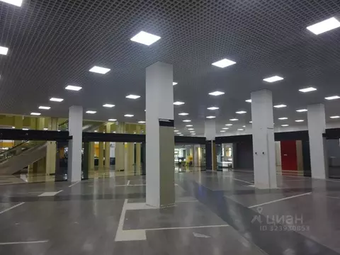 Торговая площадь в Санкт-Петербург Богатырский просп., 18К2 (1010 м)