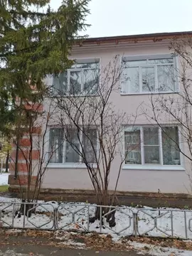 3-к кв. Омская область, Омский район, с. Лузино Советская ул. (65.0 м)