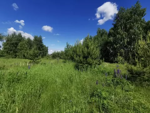 Участок в Московская область, Коломна городской округ, с. Нижнее ...
