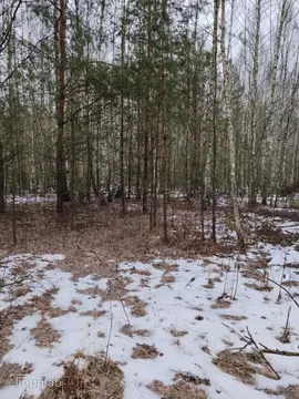 Участок в Рязанская область, Рязанский район, пос. Мурмино ул. ...