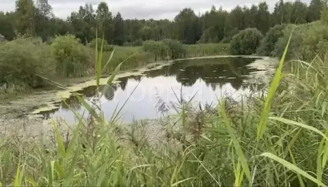 Участок в Тюменская область, Нижнетавдинский район, с. Велижаны ...