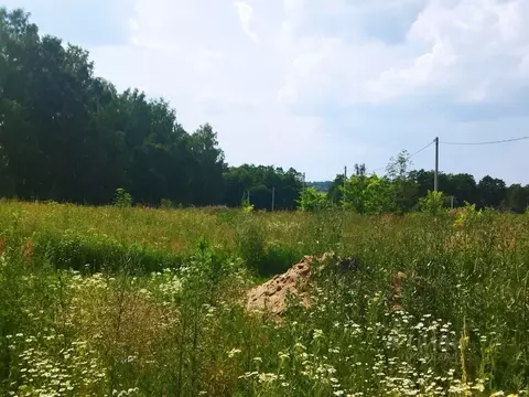 Участок в Тульская область, Ясногорский район, Теляковское с/пос, д. ...