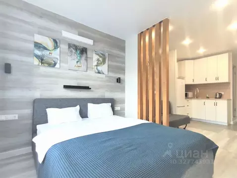 Студия Москва Внуковское поселение, ул. Бориса Пастернака, 8 (25.0 м)