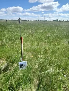 Участок в Челябинская область, Аргаяшский муниципальный округ, ...