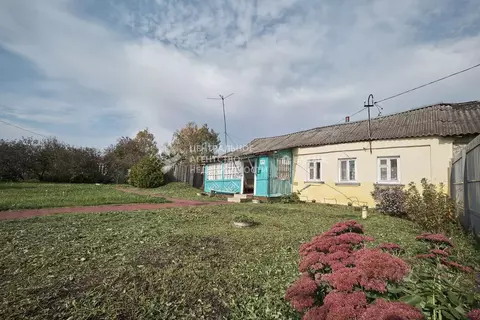 Дом в Рязанская область, Рыбновский район, с. Алешня 171 (55 м)