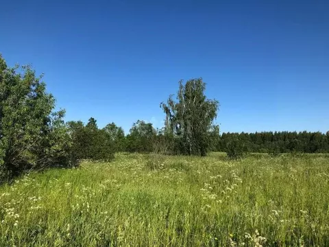 Участок в Вологодская область, д. Кулемесово 8 (21.0 сот.)