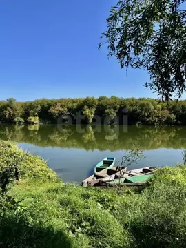 Дом в Воронежская область, Хохольский район, Гремяченское с/пос, с. ...
