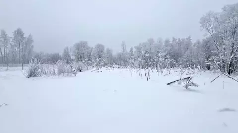 Участок в Ленинградская область, Киришский район, Будогощское ...