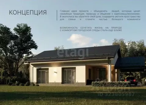 Участок в Воронежская область, Рамонский район, Новоживотинновское ...