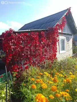 Дом в Искитим, садовое товарищество Зелёный Бор, 38-я улица (20 м)