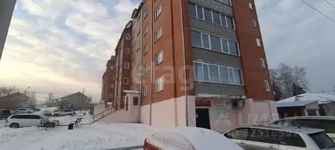 Помещение свободного назначения в Красноярский край, Емельяново пгт ...