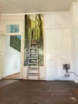 2-к кв. Краснодарский край, Краснодар Центральный мкр, ул. Янковского, ...