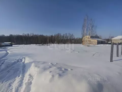 Участок в Курганская область, Курган Боровик СНТ, 301 (8.24 сот.)